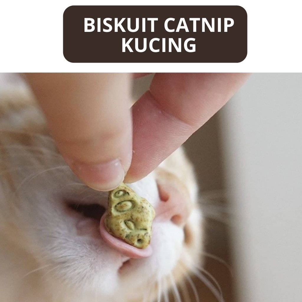 Snack Biskuit Catnip Dengan Aneka Rasa Khusus Buat Kucing FEZONE