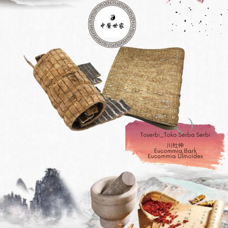 

100gr 杜仲 Du Zhong Eucommia Ulmoides Eucommia Bark Cortex Eucommiae