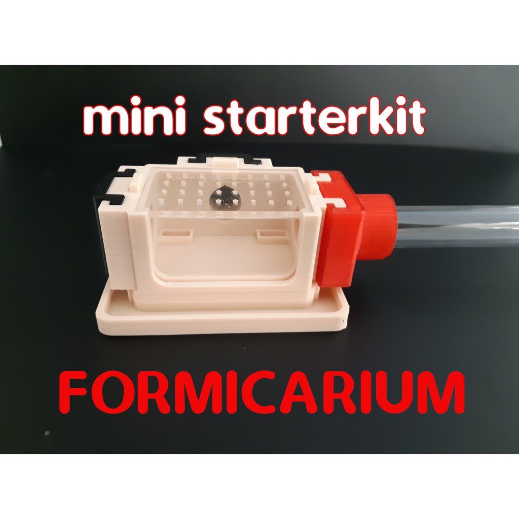 Mini Formicarium - Ant Nest