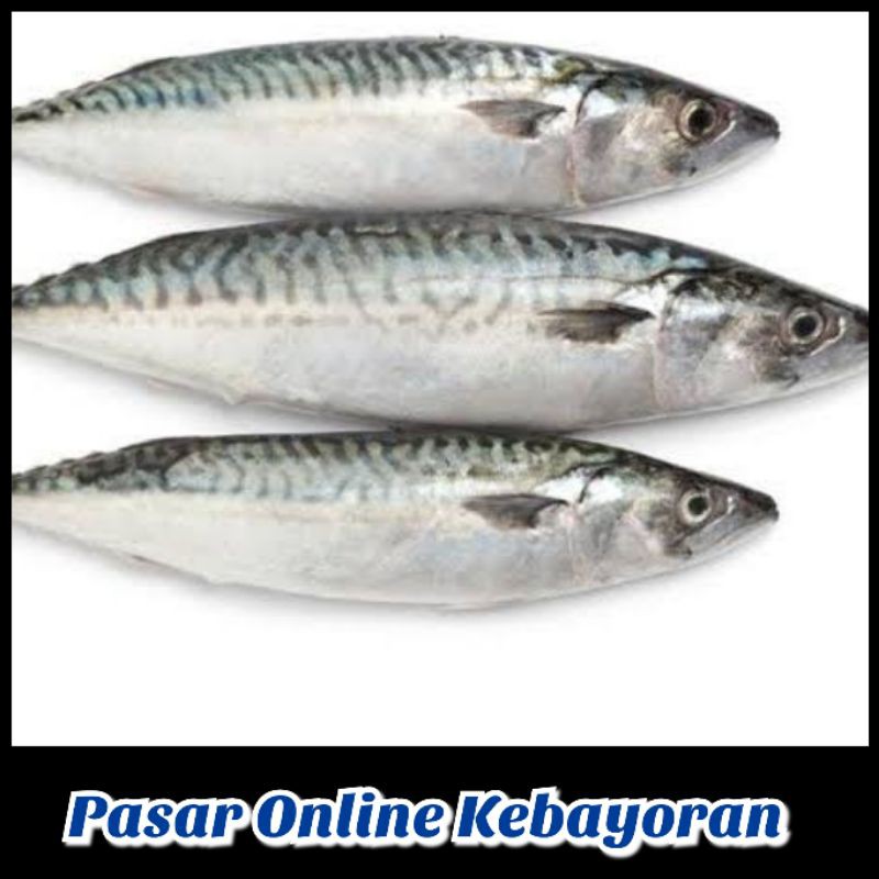 Jual Ikan Kembung Layang Segar 1 Kg Jabodetabek Shopee Indonesia