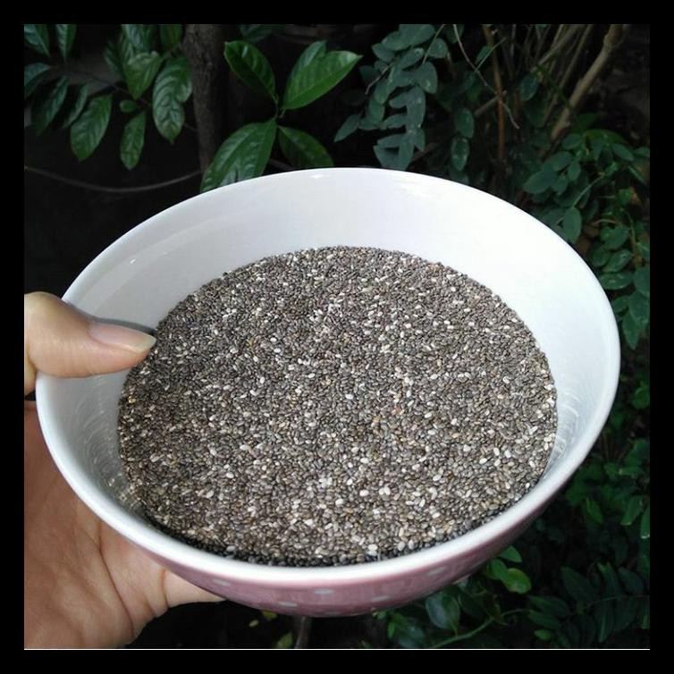 

TERBARU! BPOM ORGANIC CHIA SEEDS MEXICO 500GR MURAH