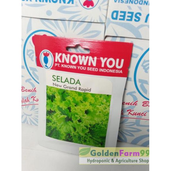 ❁ Benih / bibit selada / Lettuce New Grand Rapid ➨