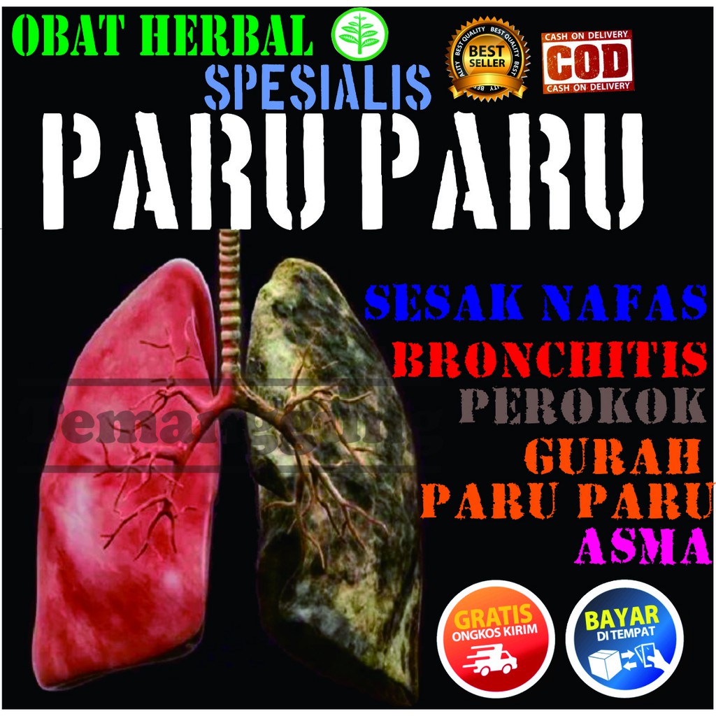 Obat gurah paru paru2 suara sesak nafas batuk berdahak berlendir bronkitis TBC herbal ampuh-1