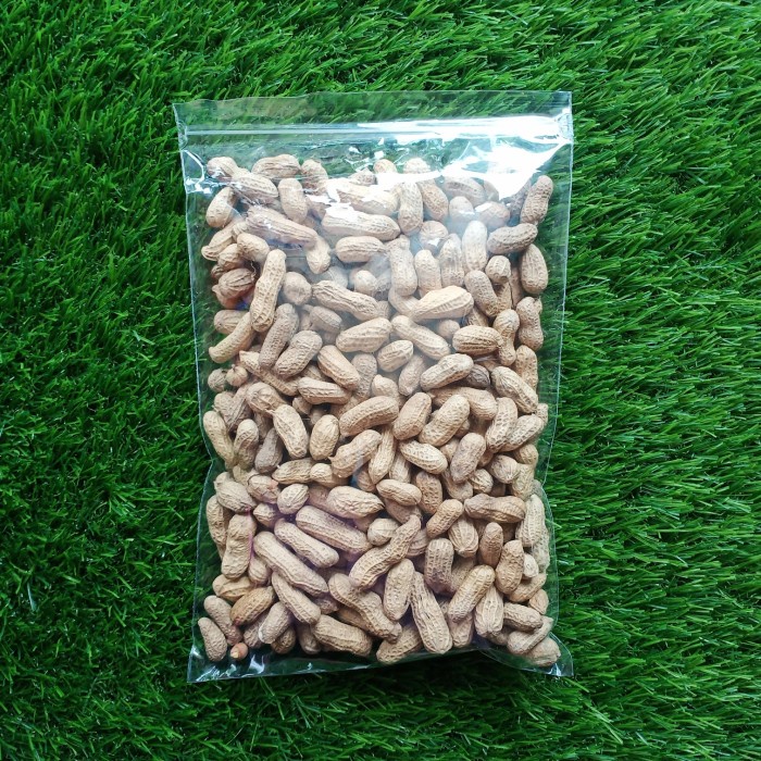 

Kacang Sangrai Kulit Snack Terlaris Termurah 250 GRAM | 500 GRAM - 250 gram