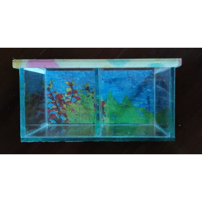 Akuarium Mini / Aquarium Soliter Ikan Cupang / Akuarium Sekat 2 Ruang