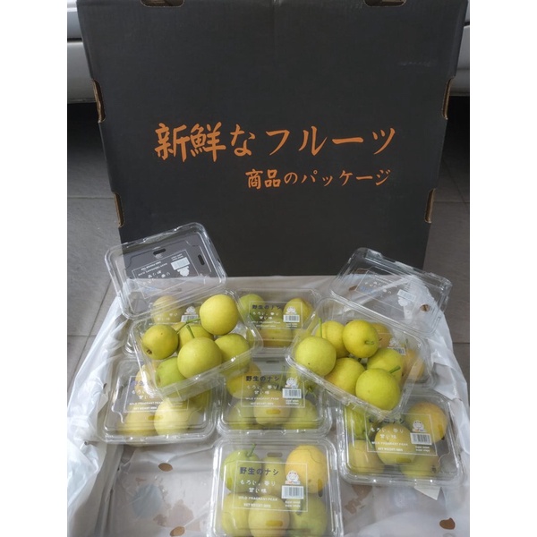 Buah Pear Pir Xiangli Jepang 1 Dus (4.5 KG) Fresh Import