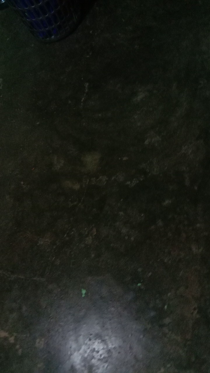 Couple Sarimbit Batik Maura Couple  Sania Ruffle Batik Couple Ori   Garansi   Oleh Oleh Pekalongan