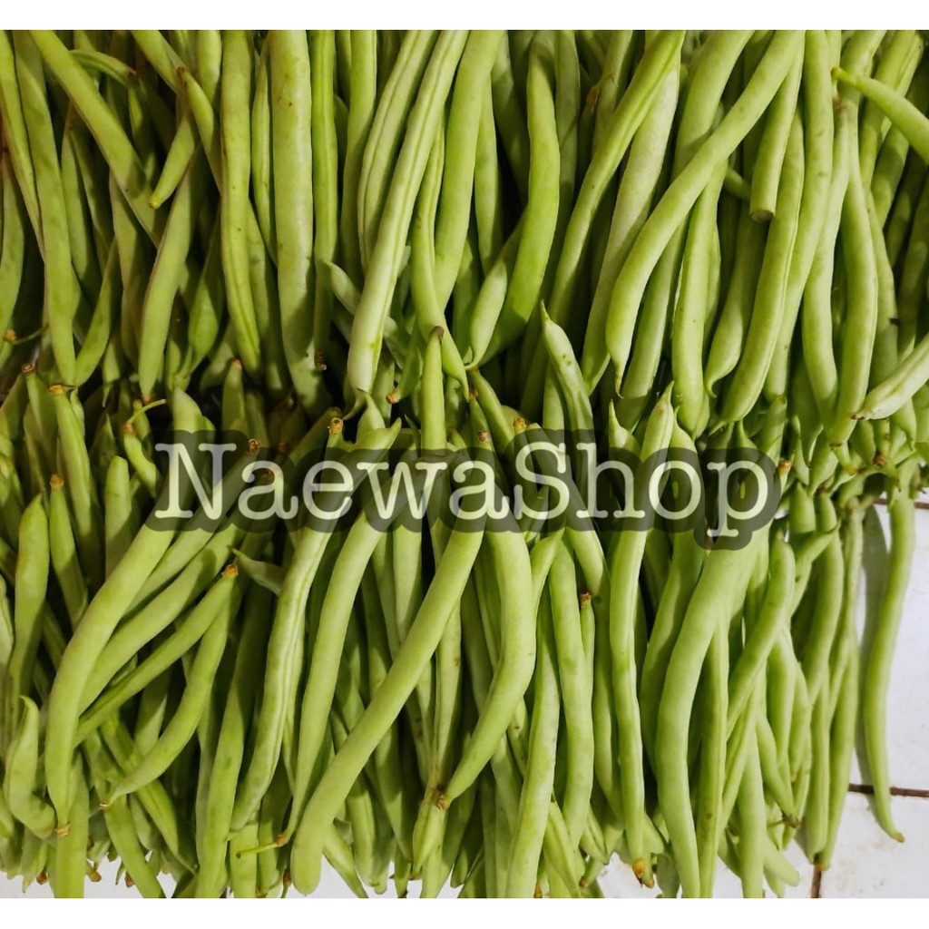 

Buncis Baby Murah Segar 250 gram