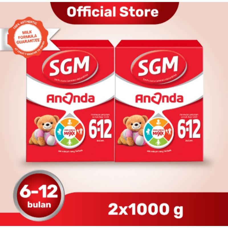 SGM 6-12 BULAN 1000gr ( 2BOX )