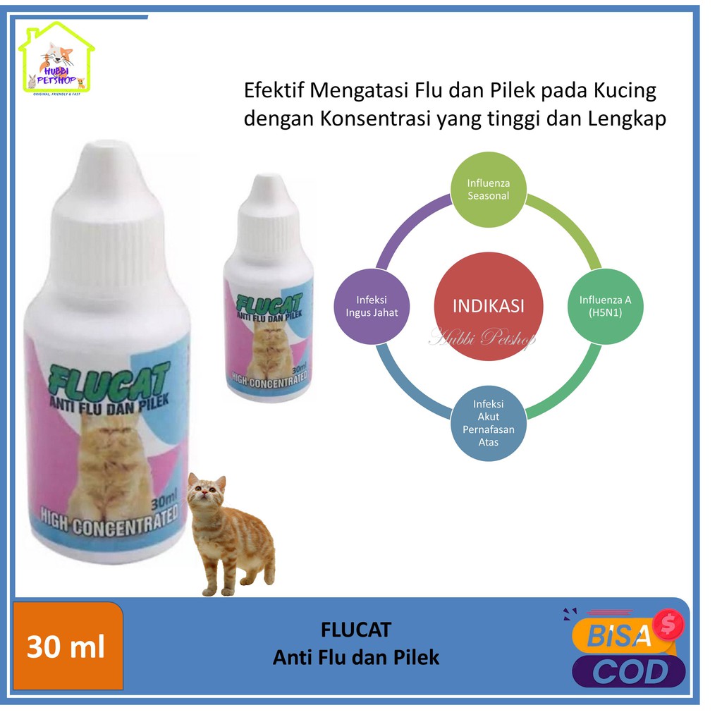 Obat Flu Kucing Flucada 10ml Obat Anti Flu dan Pilek untuk Kucing