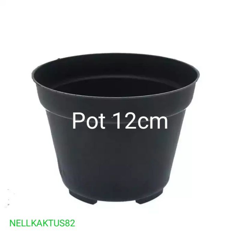 POT PLASTIK/POT HITAM/POT MURAH/POT PLASTIK 12cm