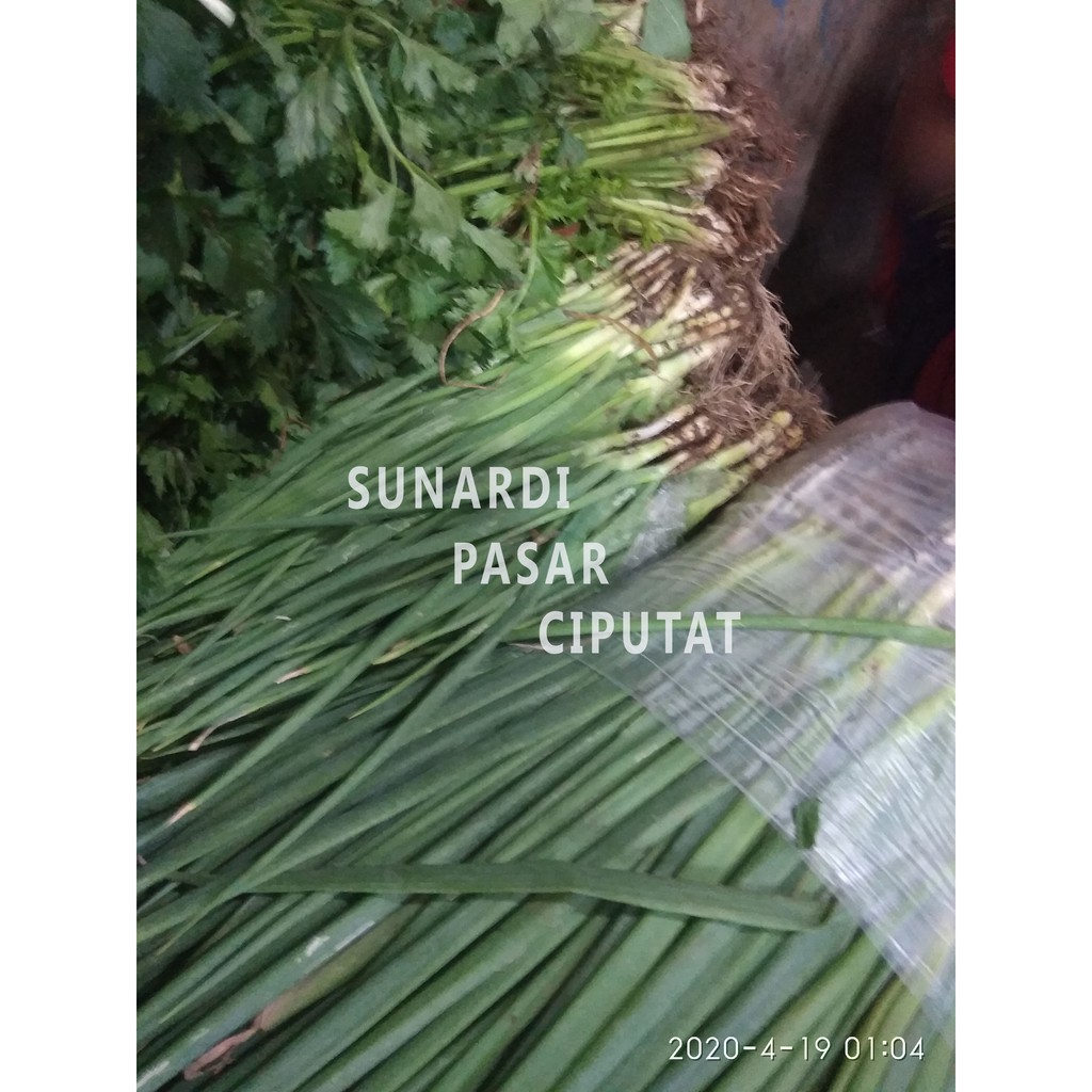 Daun bawang campur sledri - 250 gram