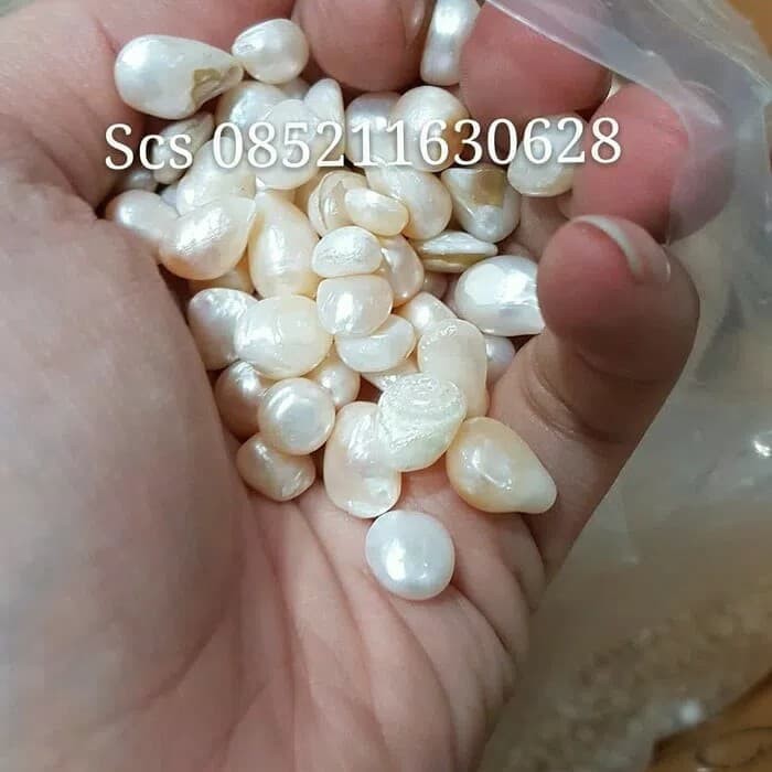 bubuk mutiara 500gram / zhen zhu fen / cen cu fen
