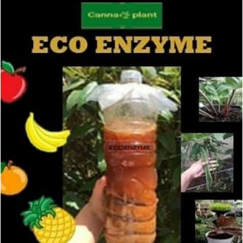 ECOENZIM ORIGINAL PUPUK GARANSI PUPUK CAIR ECO ENZIM PUPUK HAMA PUPUK HAMA TANAMAN