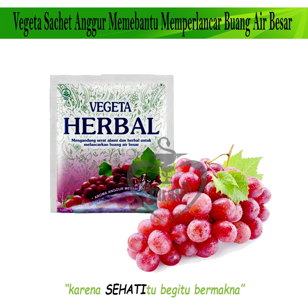 VEGETA HERBAL PER BOX SUPLEMEN PELANCAR BAB