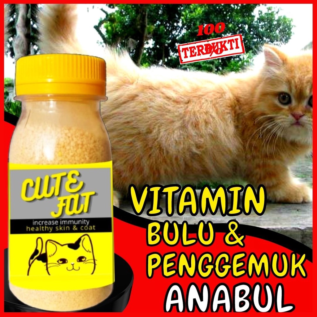 CUTE FAT - Vitamin Penggemuk dan Bulu Kucing Penumbuh Bulu Kucing Pelebat Bulu Obat Bulu Rontok FEFARM