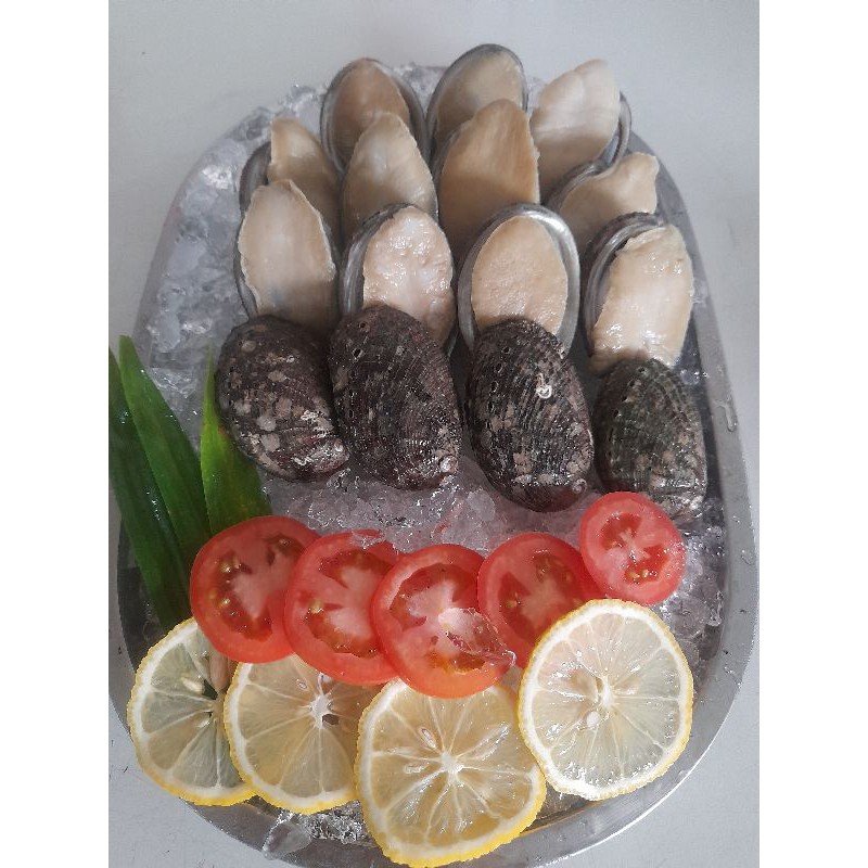 

Abalone fresh / frozen