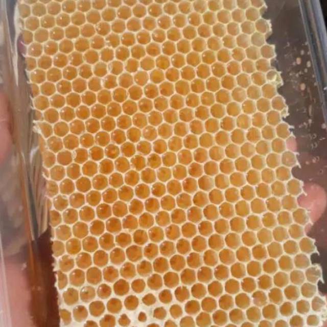 

MADU ASLI