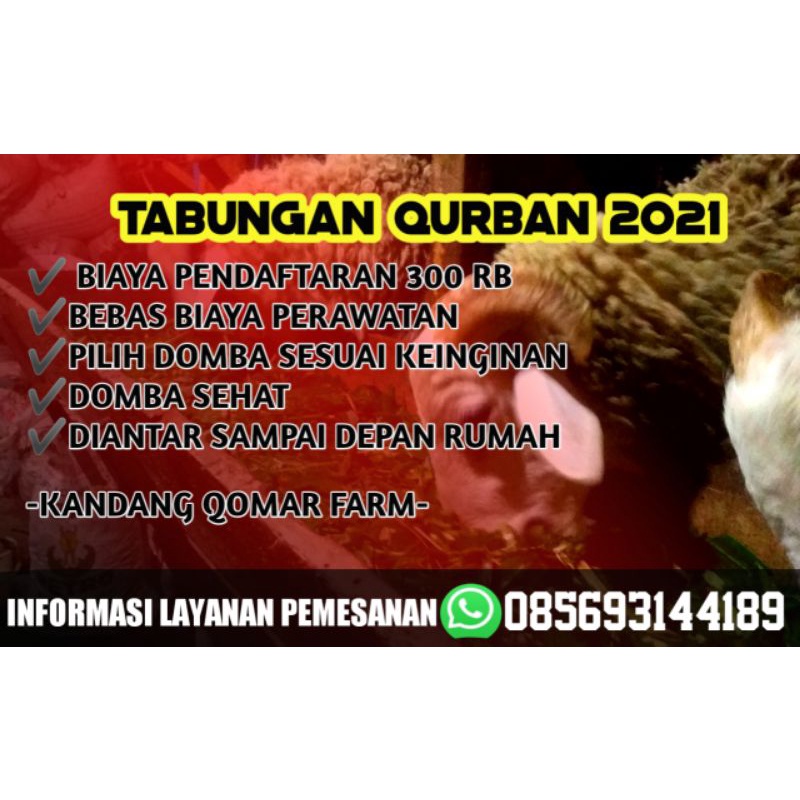 Sedia Hewan Aqiqah Dan Qurban harga timbangan per kilogram