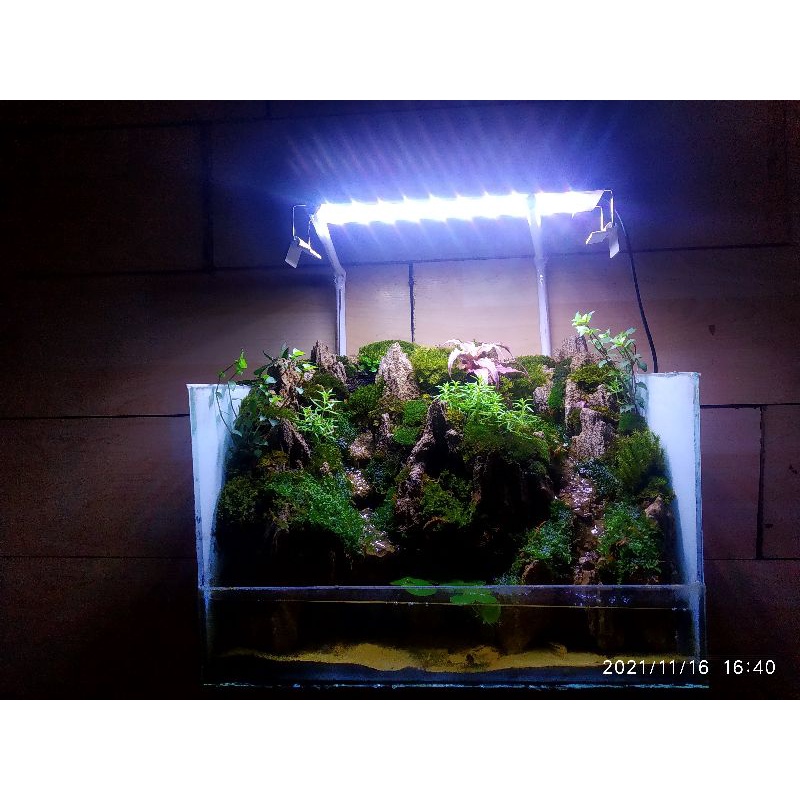 akuarium paludarium 40cm fulset khusus bandung