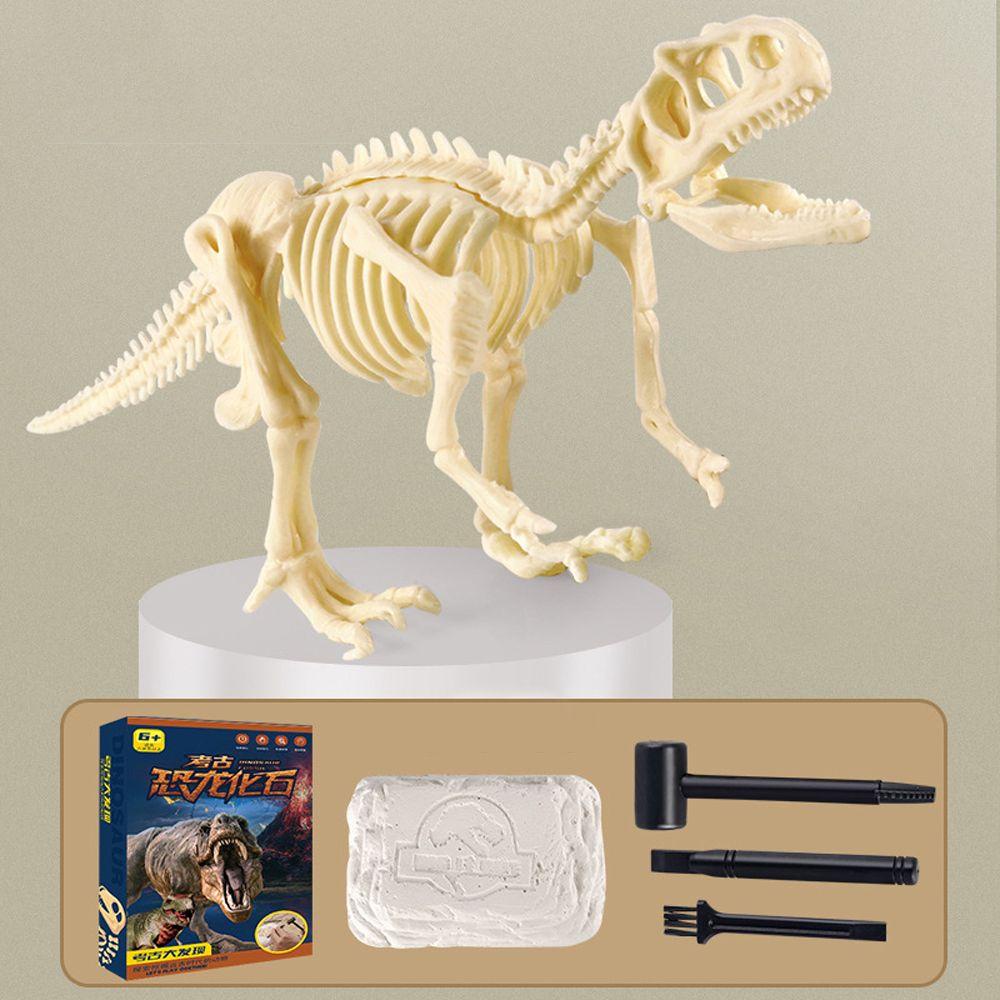 Kit Gali Dinosaurus QUINTON Usia 3-12 Tahun 1SET Gali Set Stegosaurus Model Kerangka Dinosaurus Angka Dino Mainan Edukasi Alat Penggali Kit Mainan Gali Arkeologi