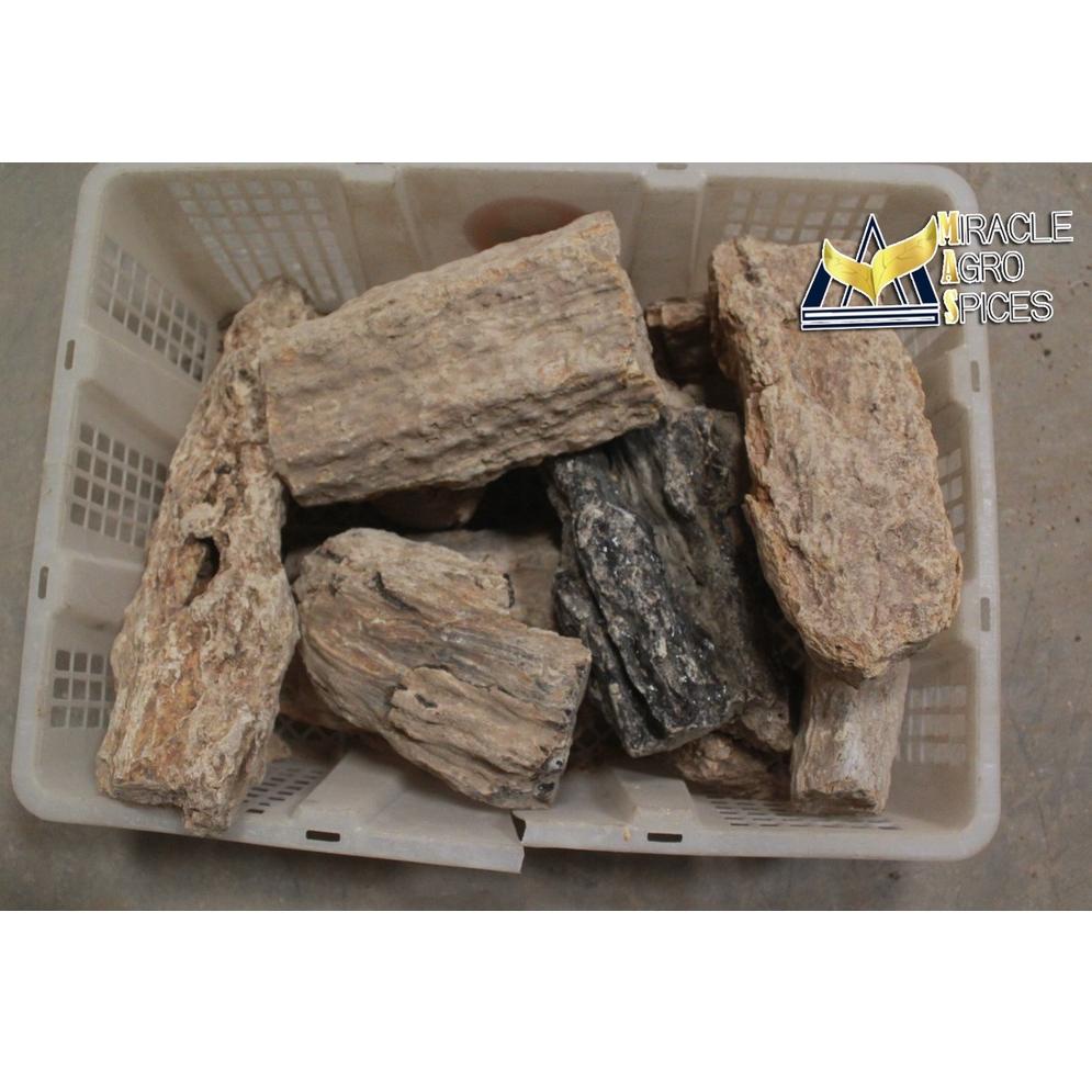 LTL.01Jl22ᴮ– JejakDamarDamarBatu/Bombaydamr