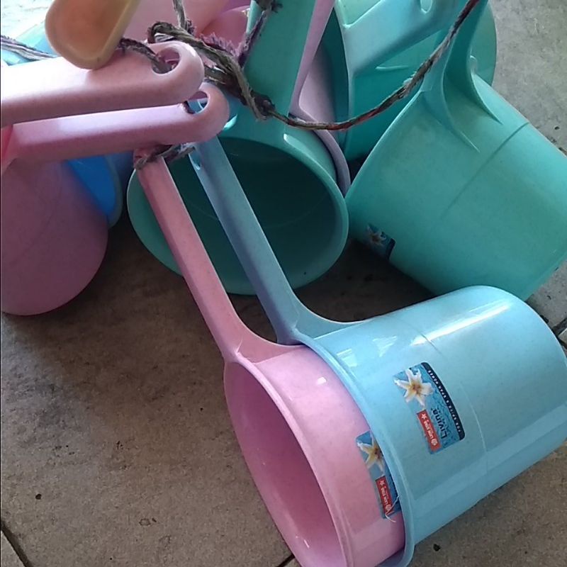 gayung deluxe lion star