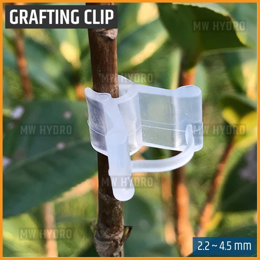 Grafting Clip - Klip Okulasi / Sambung Pucuk