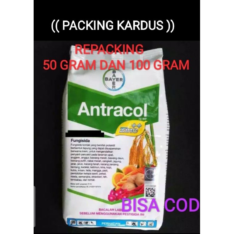 Fungisida Antracol 70 Wp Repacking Isi 50 Gram Dan 100 Gram Shopee Indonesia