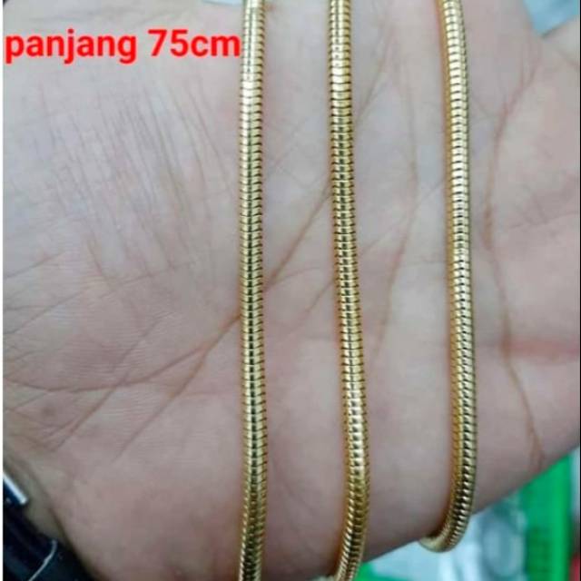 Kalung Titanium pria wanita belut Bulat gold