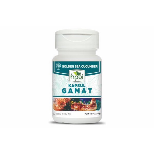 Kapsul gamat ekstra gamat emas HNI hpai