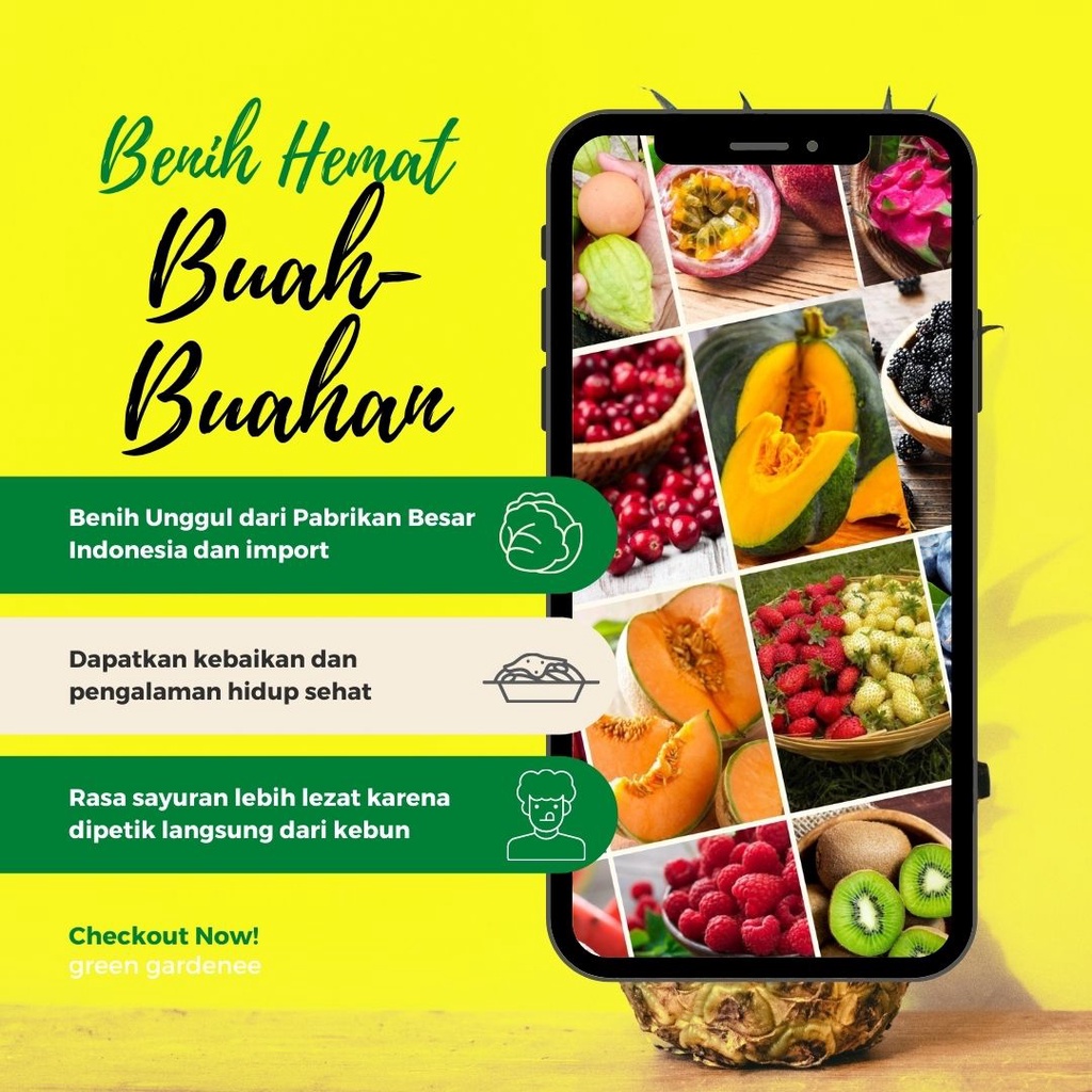 Jual Biji Benih Buah Buahan Pepaya Bangkok Ciplukan Hijau Raspbery Strawberry Beet