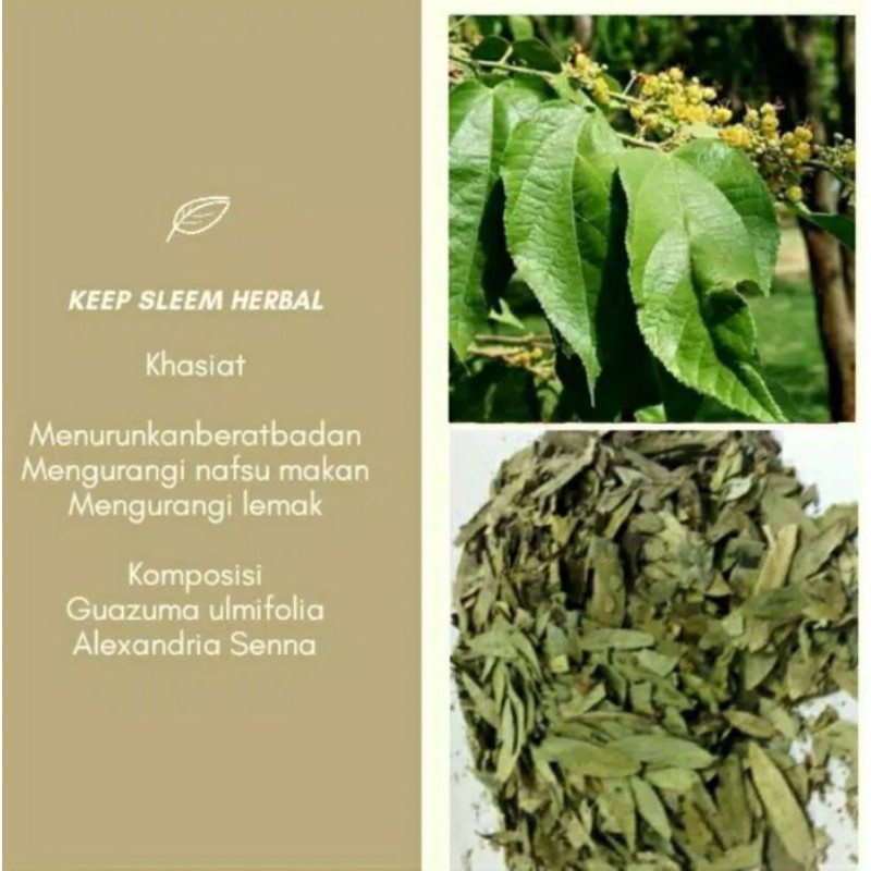 Pelangsing Obat Diet Herbal Penurun Berat Badan keepSlim