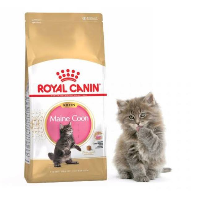 Royal canin kitten maine coon 400gr