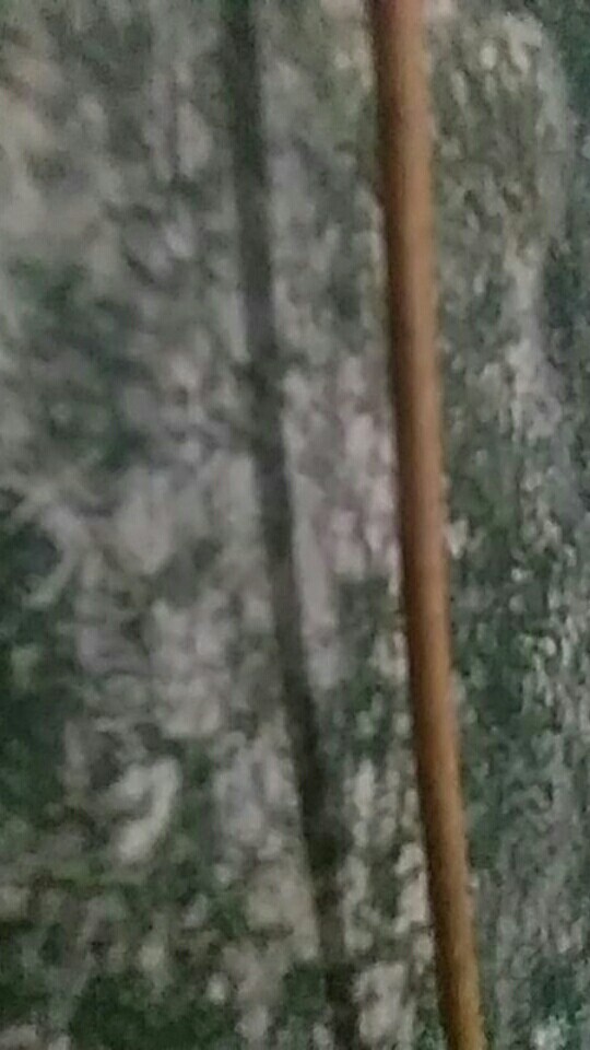 Couple Batik Jada / Couple Batik/ Gamis Maxi Cewe Busui / Couple Kondangan