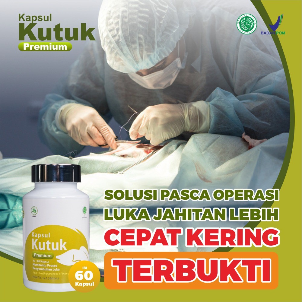 Obat Luka Langsung Kering || Paket 3 Botol Kapsul Kutuk Premium 5x Cepat Sembuh - Albumin Ikan Gabus