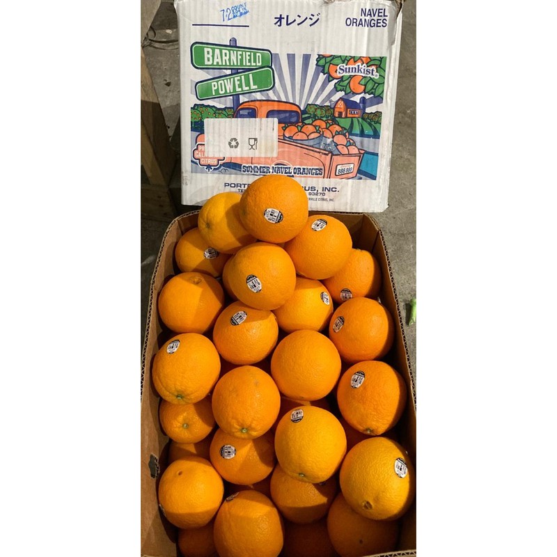 

Sunkist Navel [ 1000 gram ] [ 1 kg ]