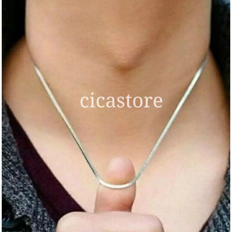 Cicastoree.kalung silver titanium / kalung bulat silver pria dan wanita