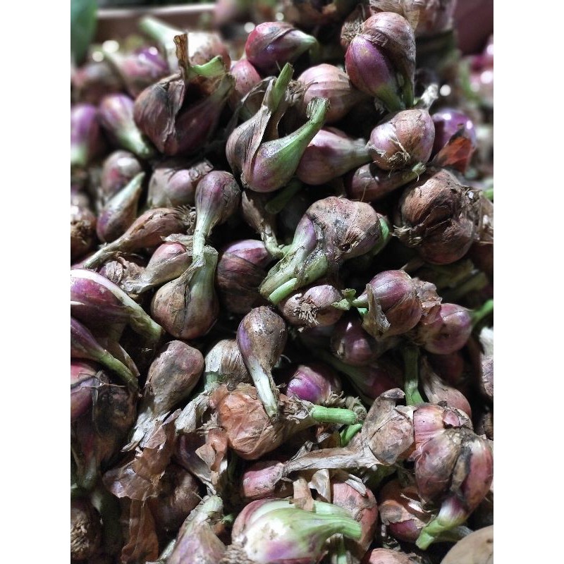 

Bawang Sumenep 250gr