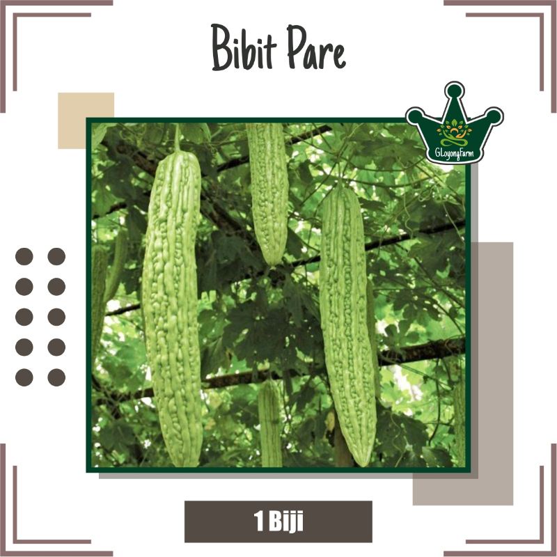 Bibit Pare Unggul - Benih Sayuran