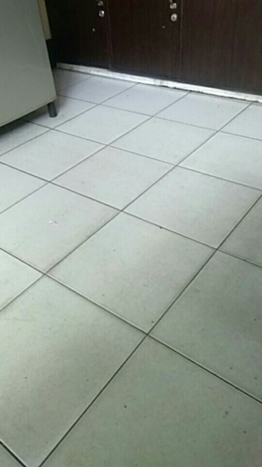 Mg Lap Kanebo Kenmaster Chamois Lap Mobil Original Lap Serba Guna Jumbo