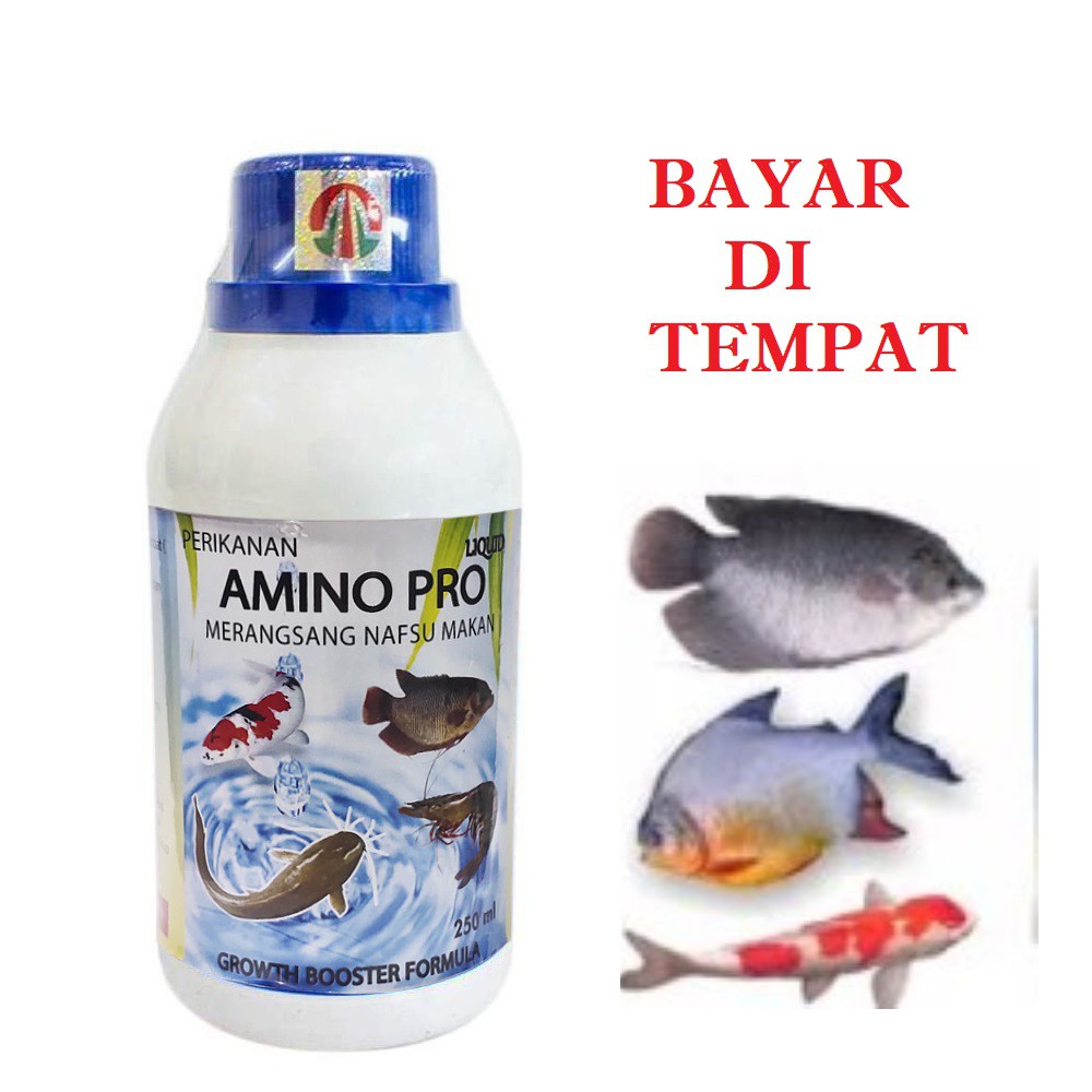 OBAT GEMUK IKAN MURAH AMINO PRO PENAMBAH NAFSU MAKAN IKAN LELE MUJAIR NILA BAWAL GABUS PATIN AMPUH