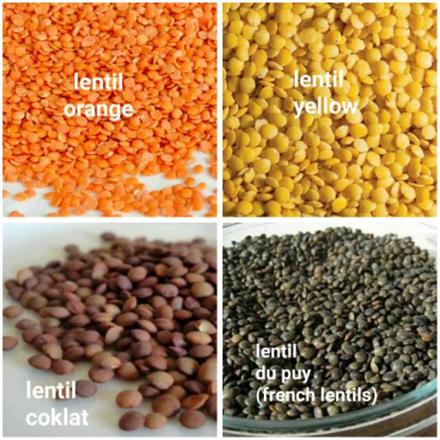 

LENTIL