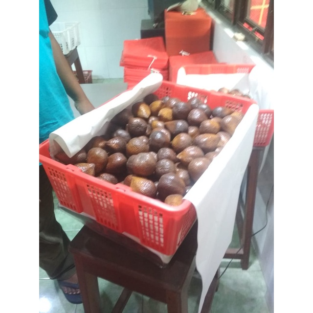 

Salak 1 keranjang Exwork