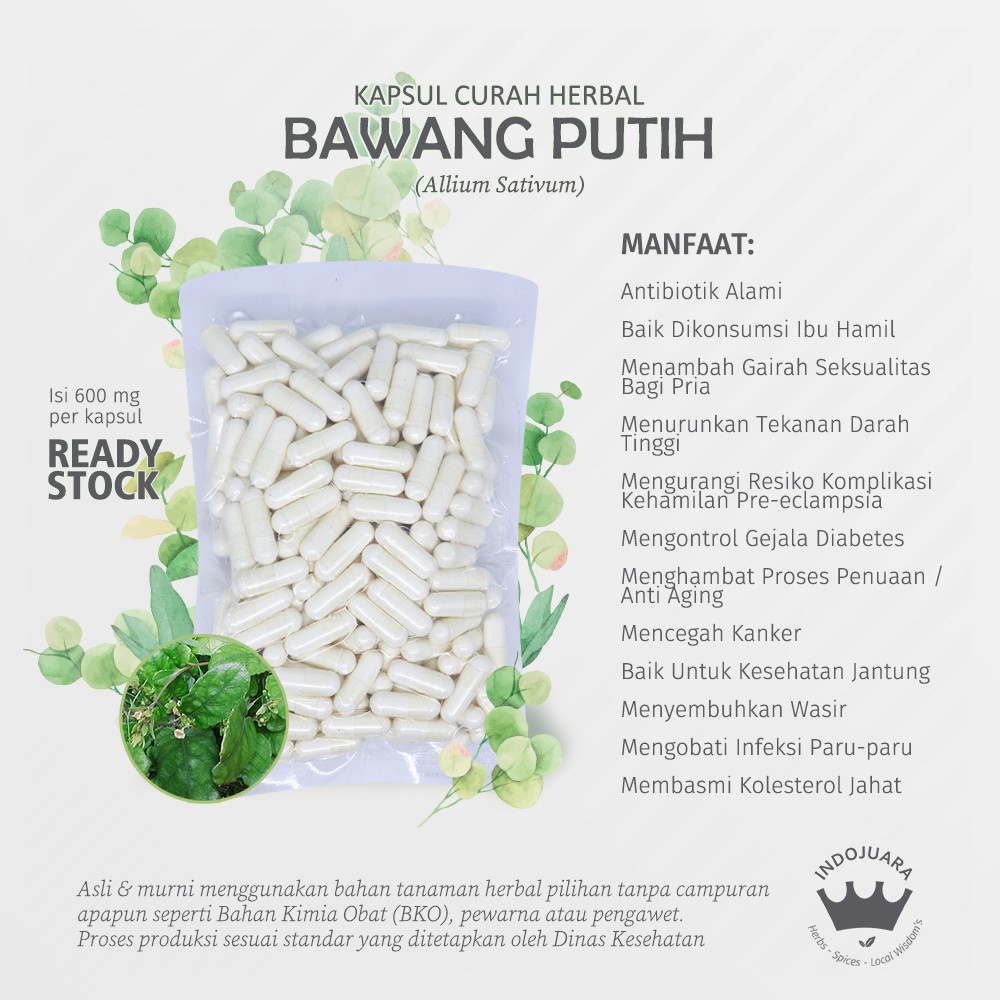 

BAWANG PUTIH Garlic 100 Kapsul Curah Herbal Wasir Sinusitis Psoriasis