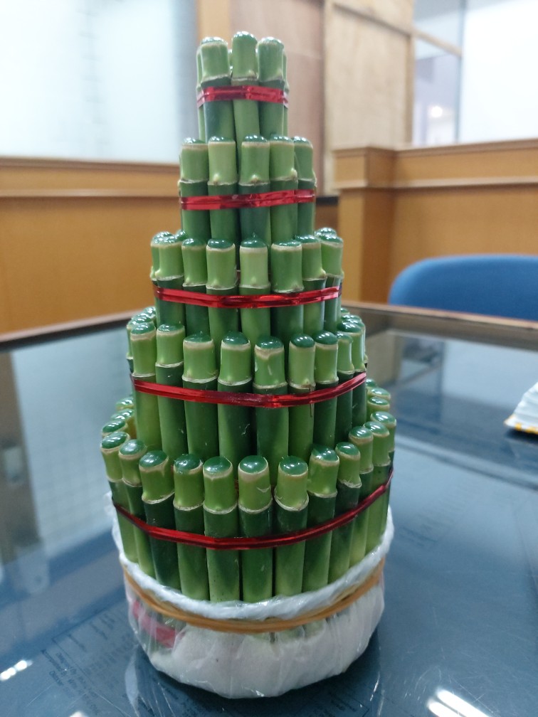 Bambu Hoki / Bambu Rejeki Model Pagoda Susun 5 Paling Murah