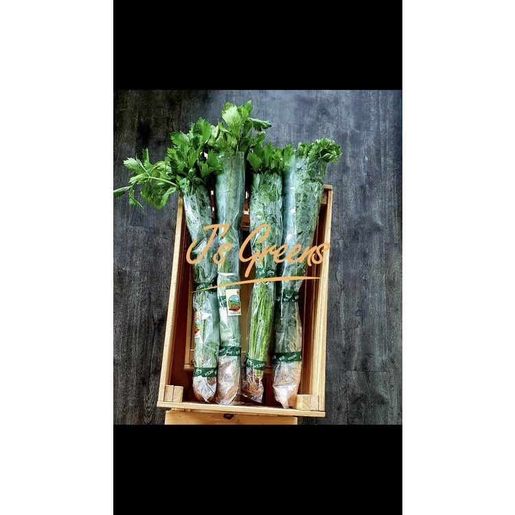 

Seledri Organik Living Organic
