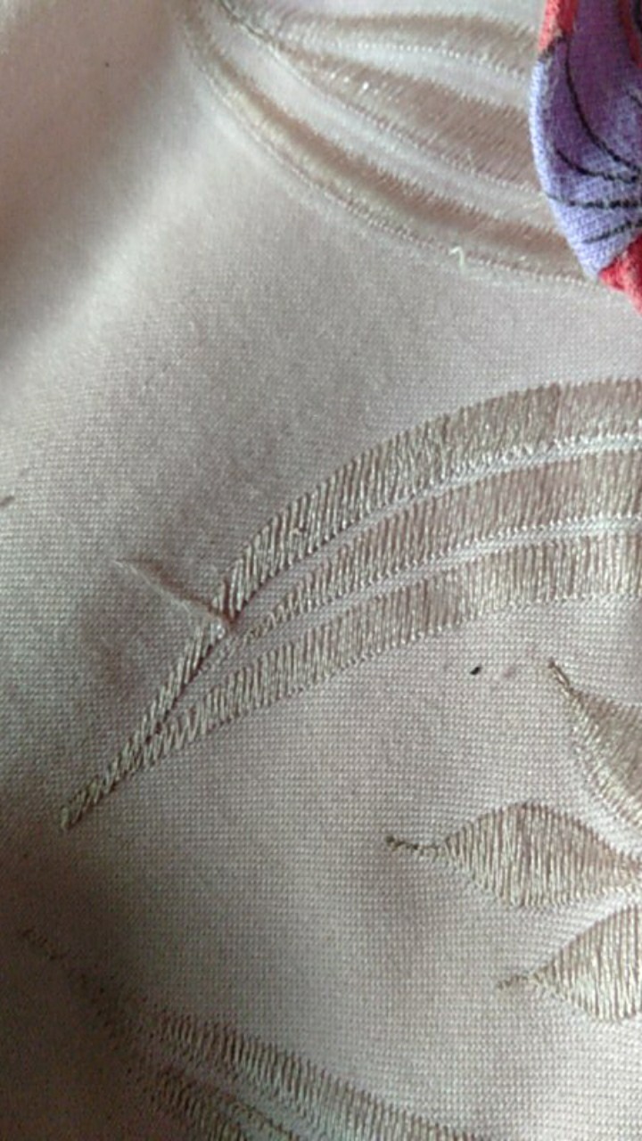 Mika Telur Tanpa Pengunci 50 Pcs Isi 10 Telur / Mika Telor / Tempat Telor