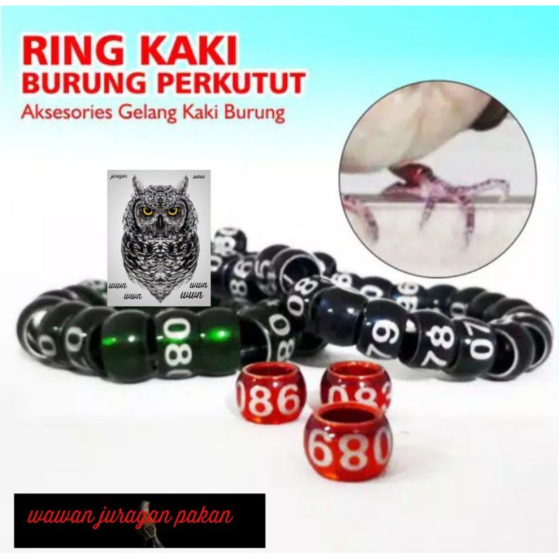 ring burung perkutut, ring kutut