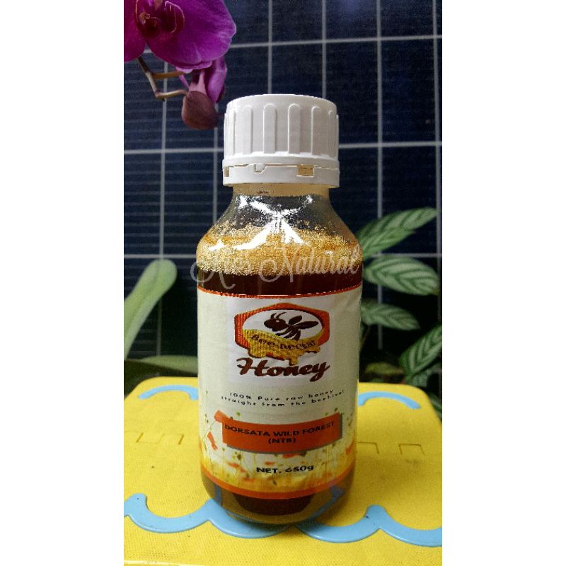 

Raw Honey / Dorsata Forest Honey NTB / Madu Hutan Murni 650gr
